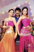 Sriman Narayana Movie Stills